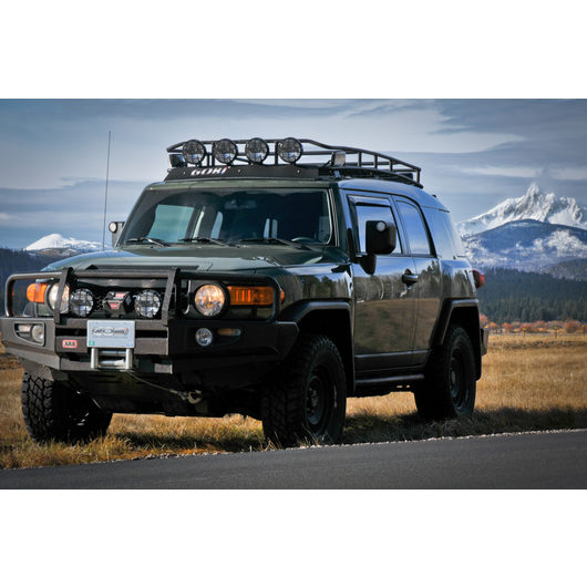 TOYOTA FJ CRUISER · RANGER RACK· 4 Independent LED Lights Gobi Racks