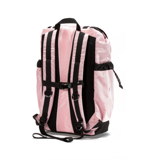 Pink Backpacks